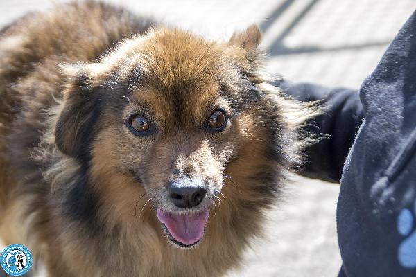 Bush: Un Simpatico Orsetto Di 10 Kg